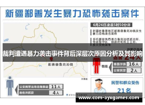 裁判遭遇暴力袭击事件背后深层次原因分析及其影响