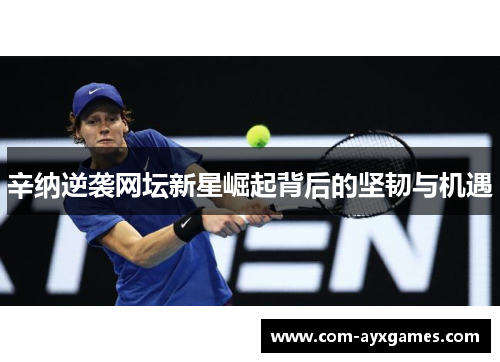 辛纳逆袭网坛新星崛起背后的坚韧与机遇