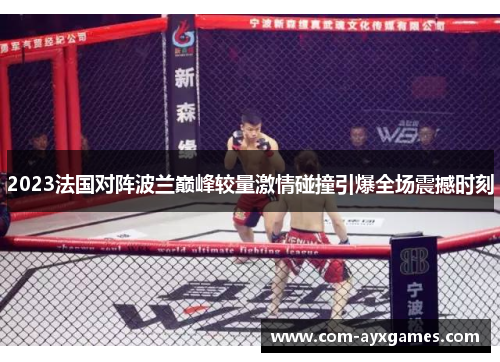 2023法国对阵波兰巅峰较量激情碰撞引爆全场震撼时刻
